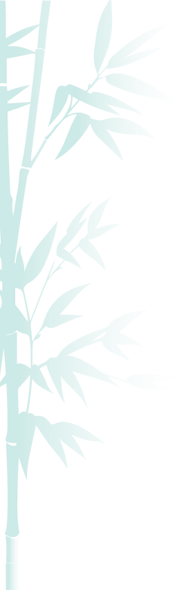 bamboo plant